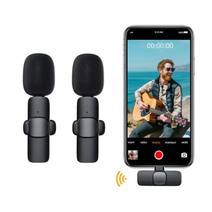type c microphone
